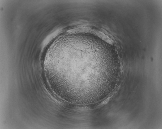 X0000058780245200510031027