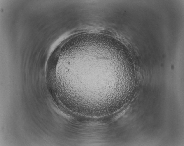 X0000058780246200510031027