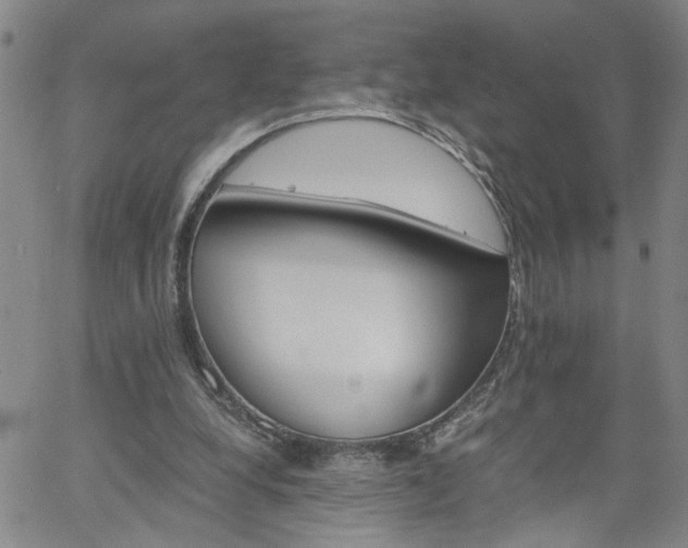 X0000058780248200510031027