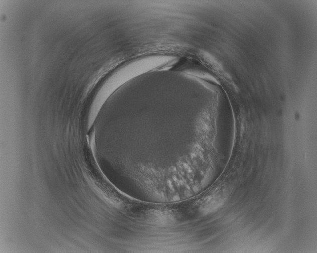 X0000058780250200510031027