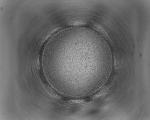 X0000058780251200510031027