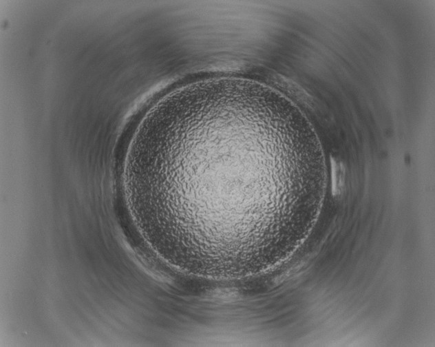 X0000058780252200510031027