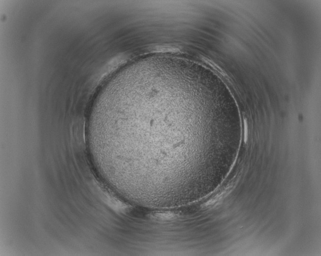 X0000058780253200510031027