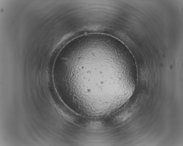 X0000058780256200510031027