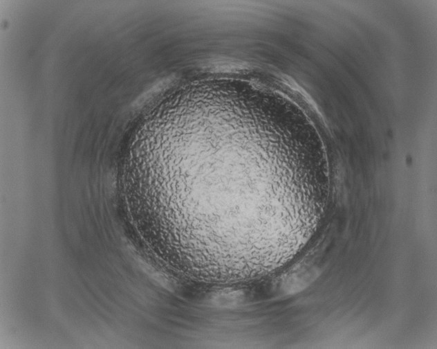 X0000058780257200510031027