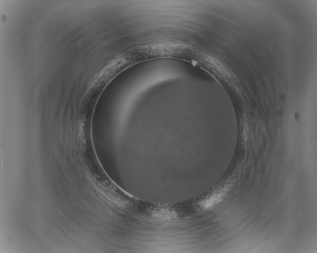 X0000058780258200510031027