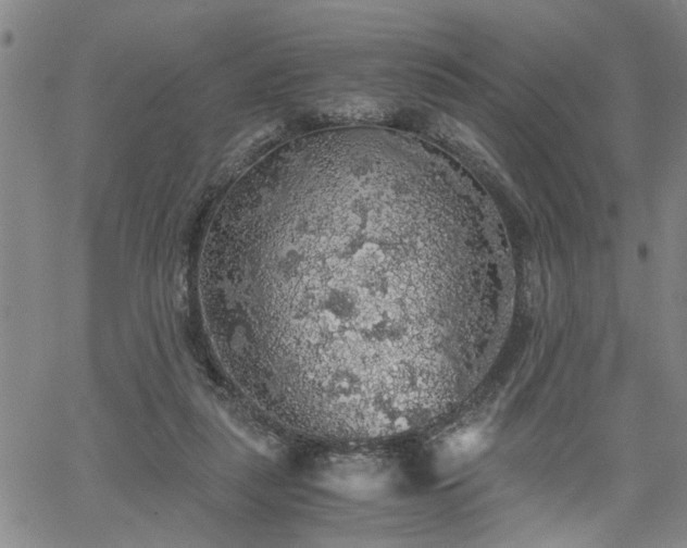 X0000058780259200510031027