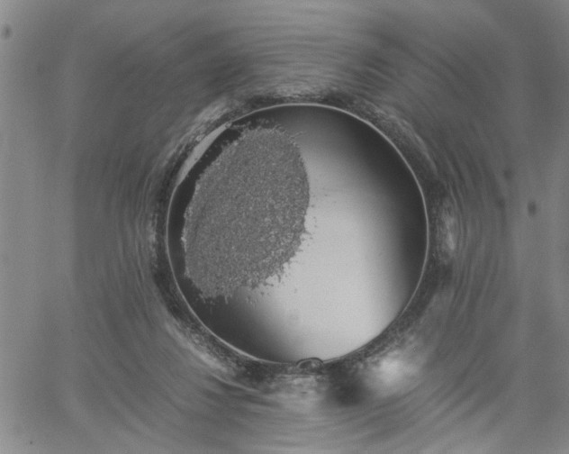 X0000058780260200510031027