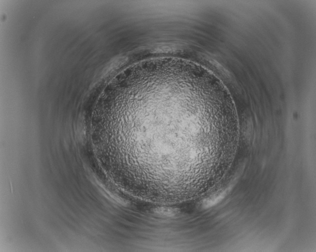 X0000058780261200510031028