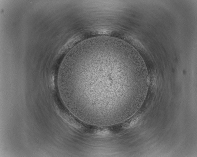 X0000058780262200510031028