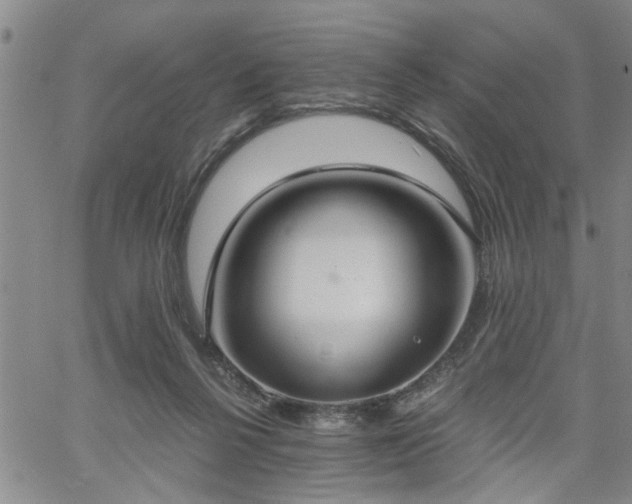 X0000058780264200510031028