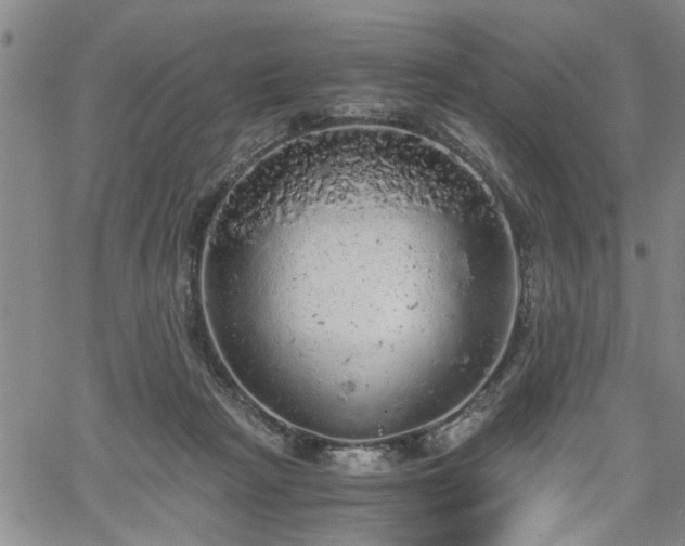 X0000058780265200510031028