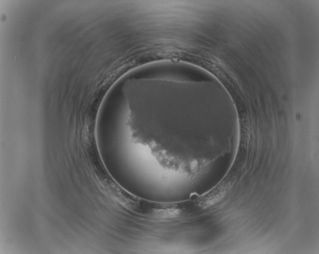 X0000058780266200510031028