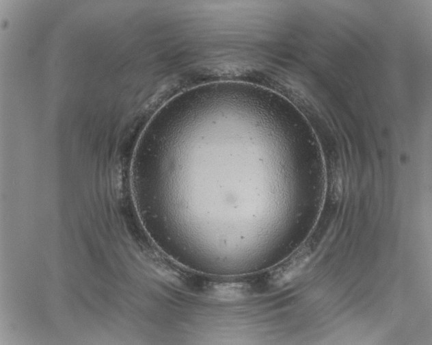 X0000058780268200510031028