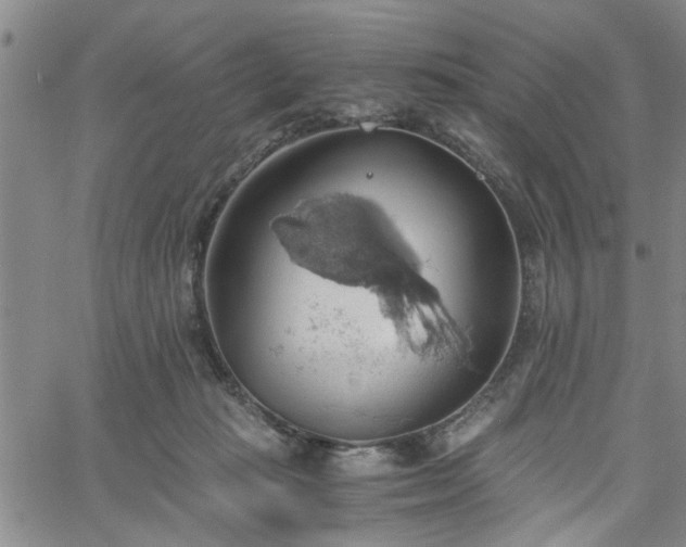 X0000058780269200510031028