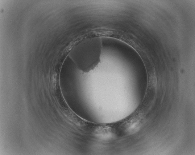 X0000058780271200510031028