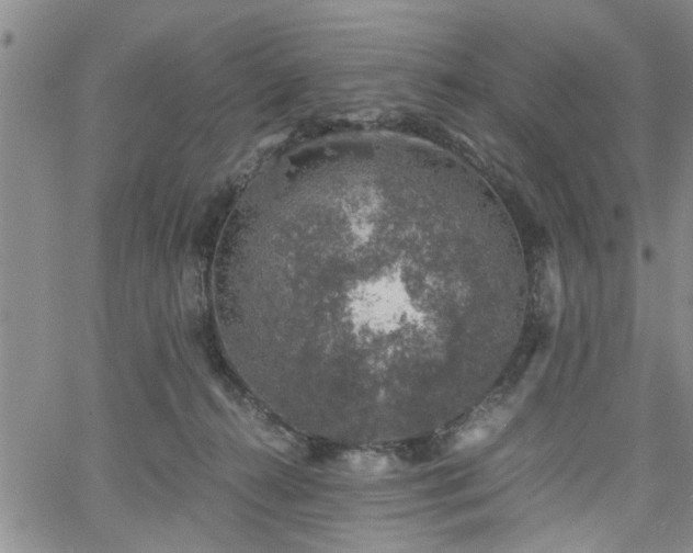 X0000058780272200510031028