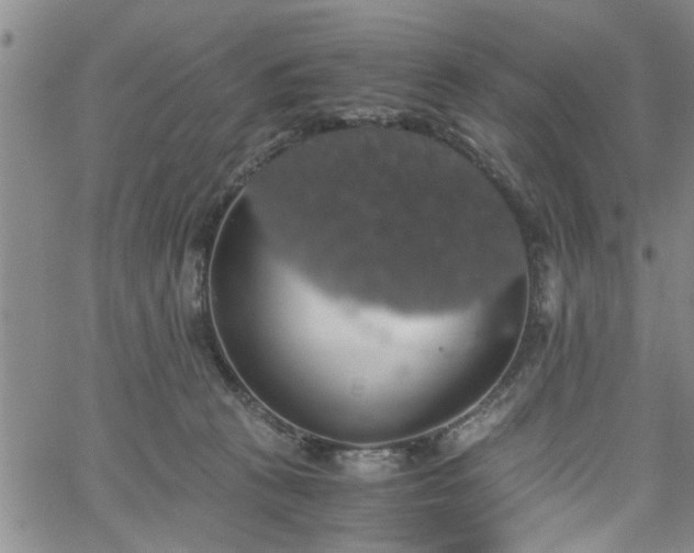 X0000058780273200510031028