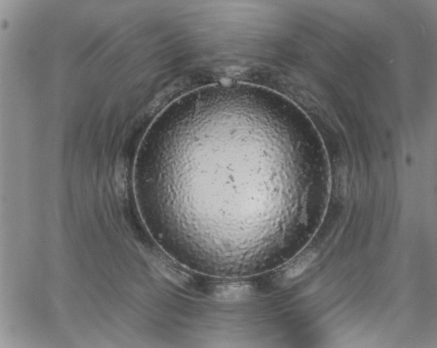 X0000058780274200510031028