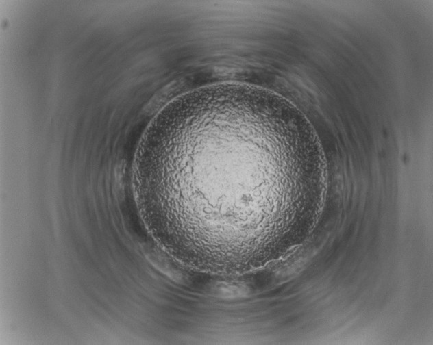 X0000058780275200510031028