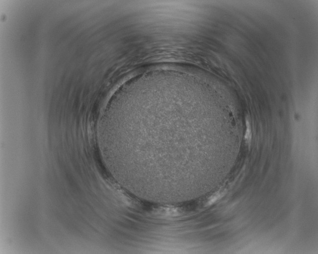 X0000058780276200510031028