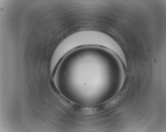 X0000058780277200510031028