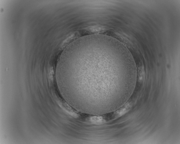 X0000058780279200510031028