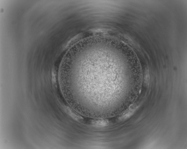 X0000058780282200510031028