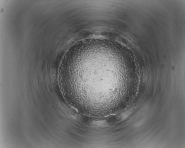 X0000058780283200510031028