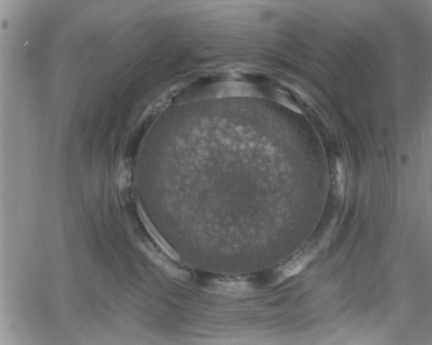 X0000058780284200510031028