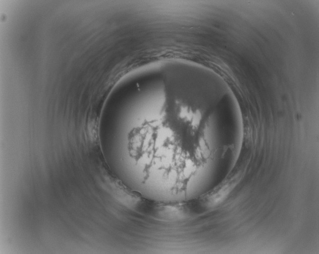 X0000058780285200510031028