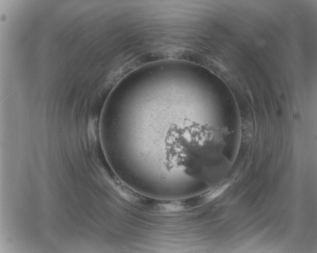 X0000058780286200510031028