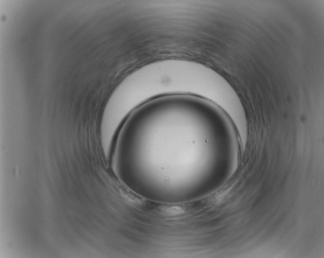 X0000058780287200510031028