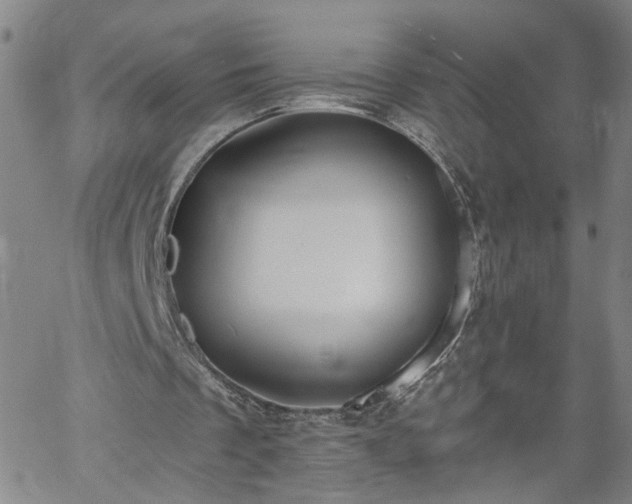 X0000058780289200510031027