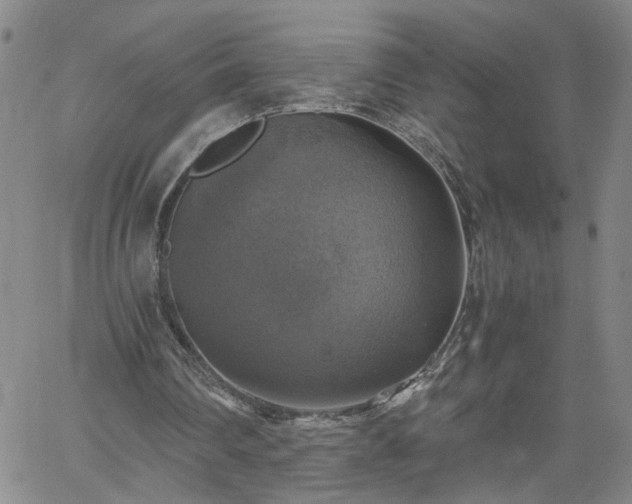 X0000058780290200510031027