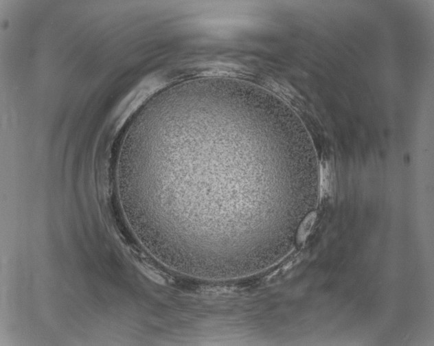 X0000058780291200510031027