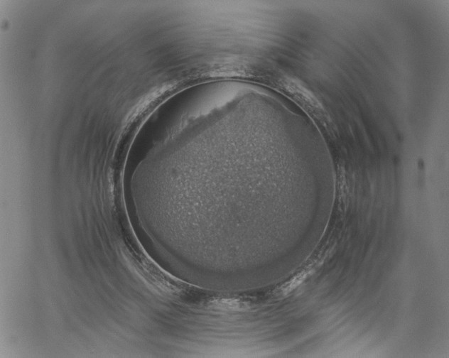 X0000058780298200510031027