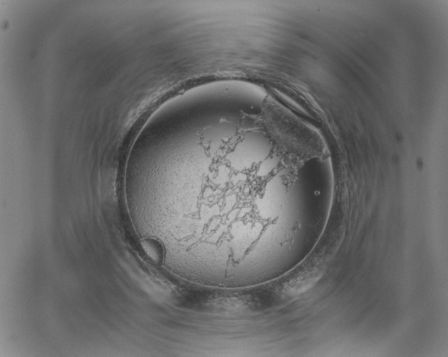 X0000058780299200510031027