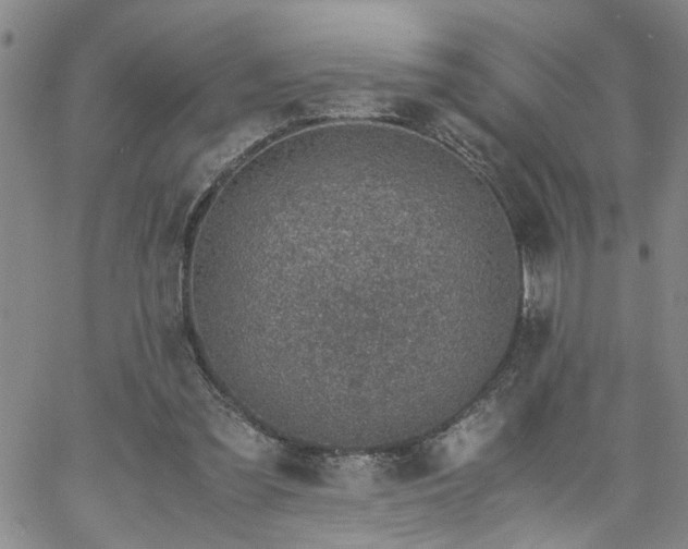 X0000058780301200510031027