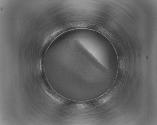 X0000058780302200510031027