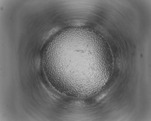 X0000058780304200510031027