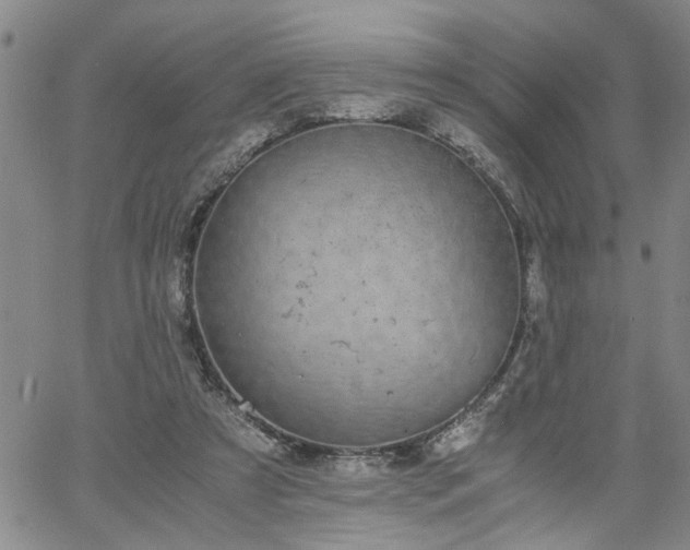 X0000058780305200510031027