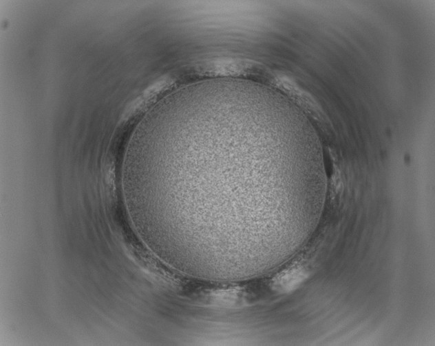 X0000058780306200510031027