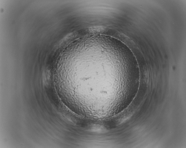 X0000058780308200510031027