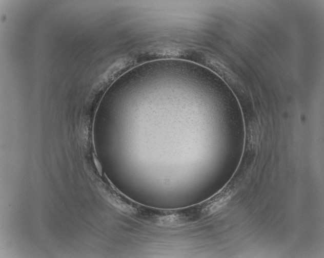 X0000058780309200510031027