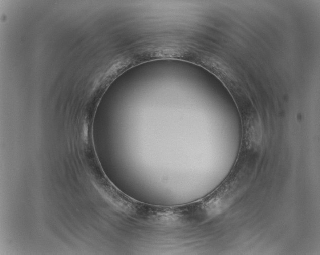 X0000058780310200510031027