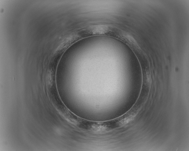 X0000058780311200510031027