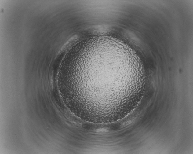 X0000058780312200510031027