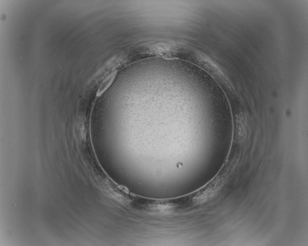 X0000058780313200510031027