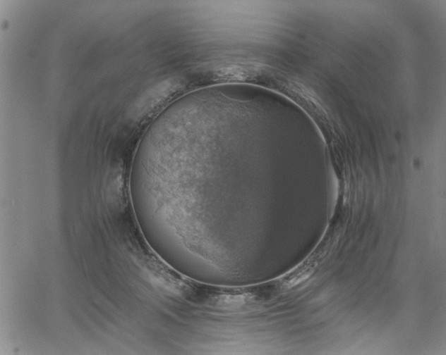 X0000058780314200510031027